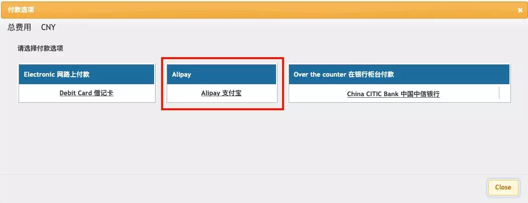 支付宝支付美国签证费