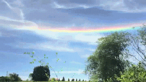 640 (1).gif