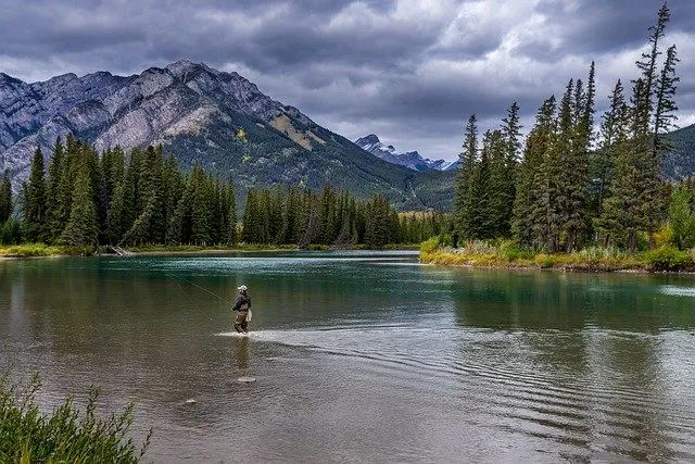 640 (1).jpg