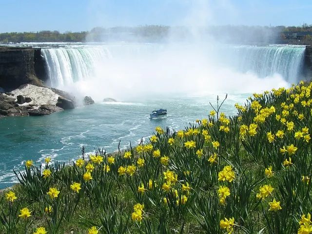 20220622_115850_003.jpg
